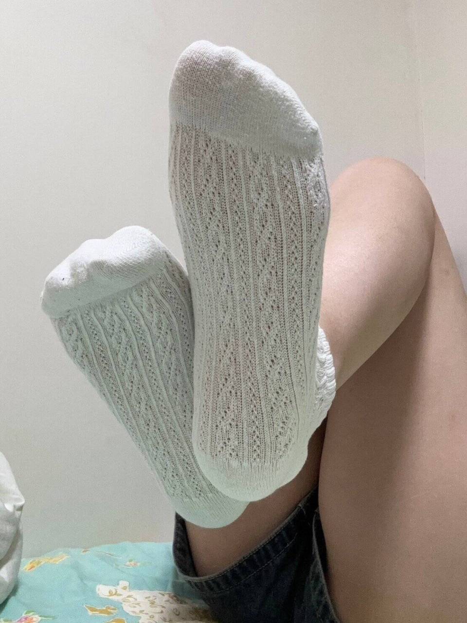 溫妮 －  原味襪子 日式 中筒襪