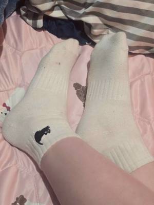 凜蒼 － 原味襪子 刺繡貓咪 白色中筒襪