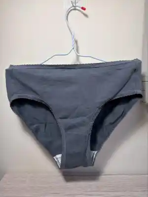 Ciao - Worn Gray Cotton Panties