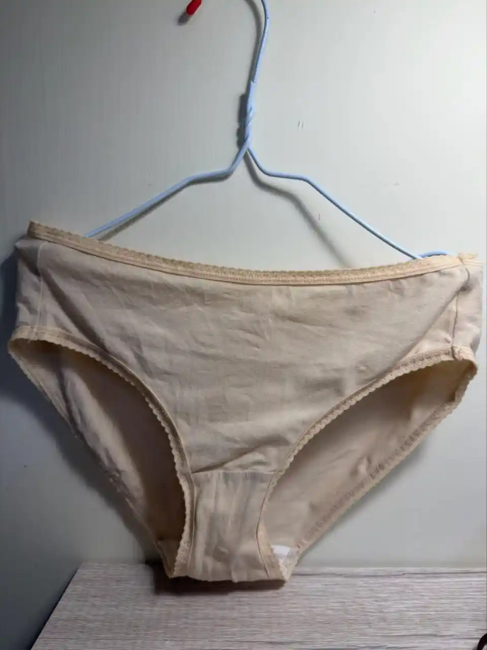 P02900110 Ciao - Worn Panties Solid Beige Cotton Panties